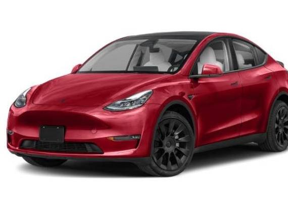 TESLA MODEL Y 2024 7SAYGDEE8RA308073 image